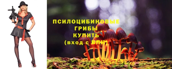 индика Липки