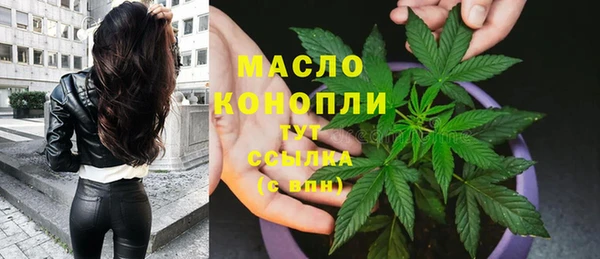 индика Липки