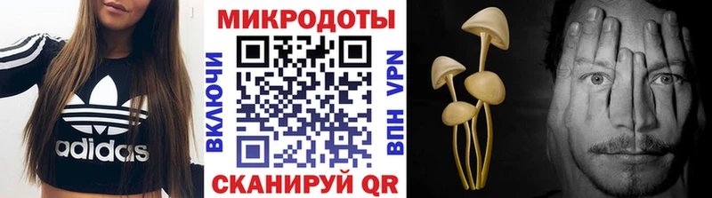 Псилоцибиновые грибы Magic Shrooms  цены наркотик  Харовск 